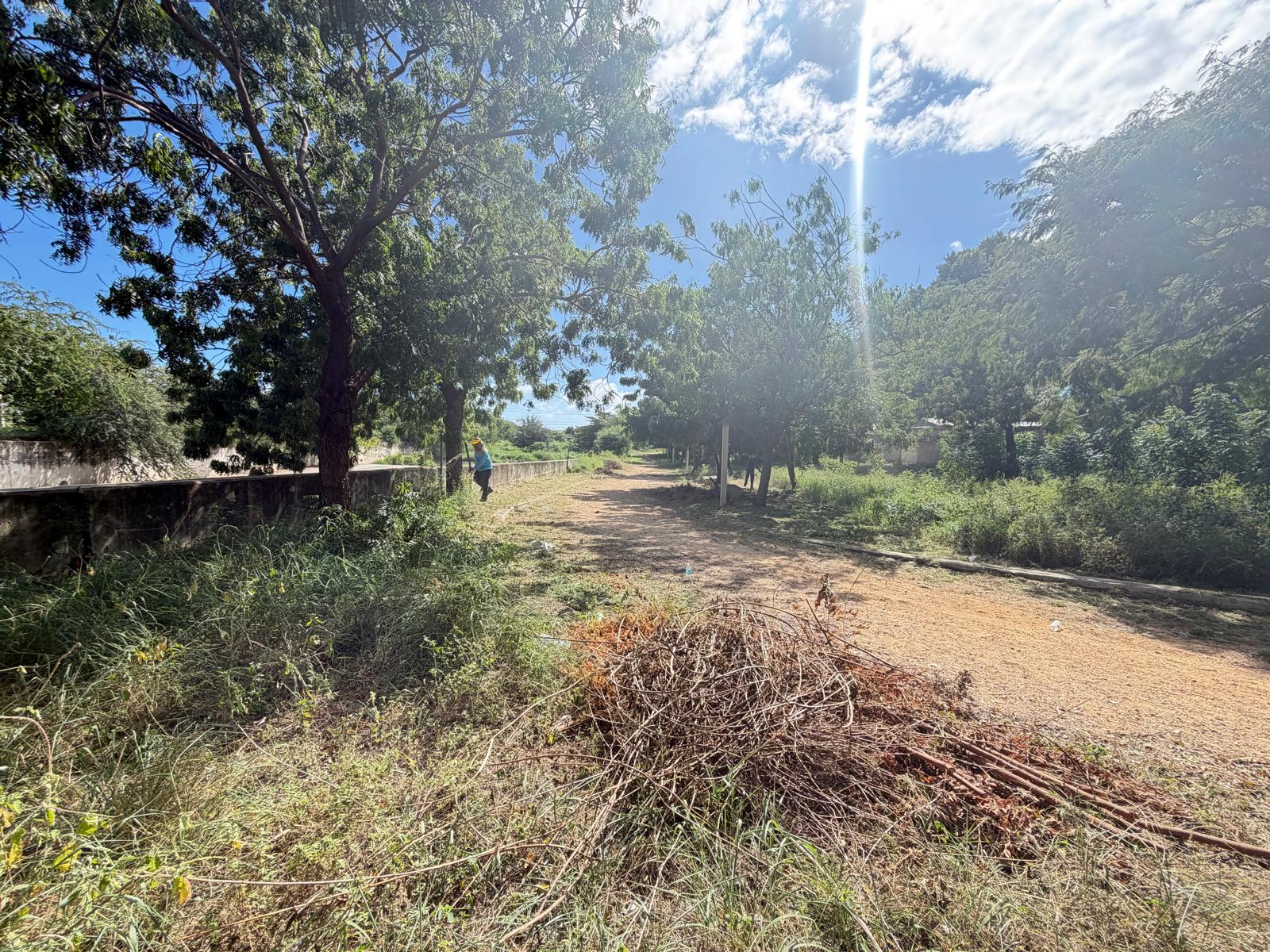 Área de trabajo comunitario documentada en Lineales de Ponce